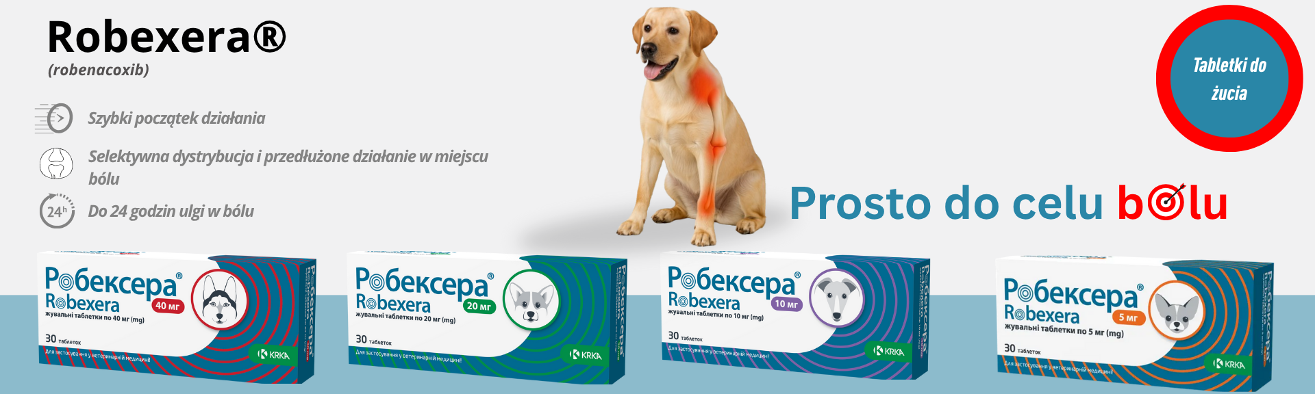 Robexera
