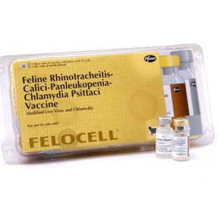 FELOCELL 4