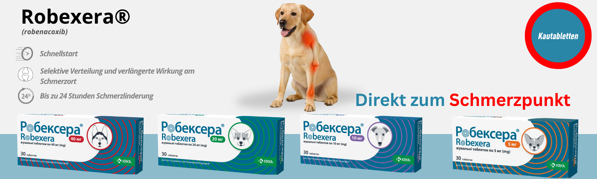 Robexera
