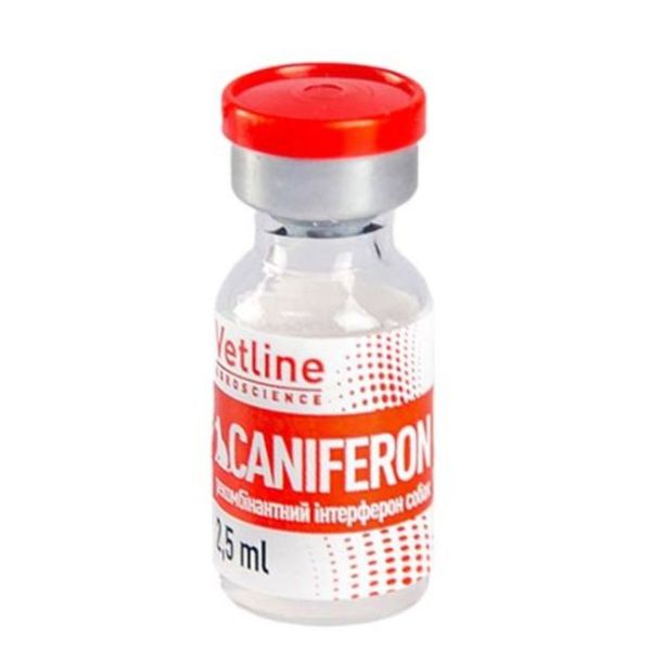 CANIFERON 2,5 ml INTERFERON DOGS 1 amp