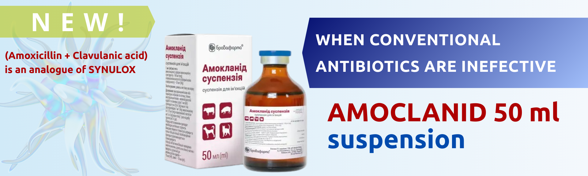 AMOCLANID