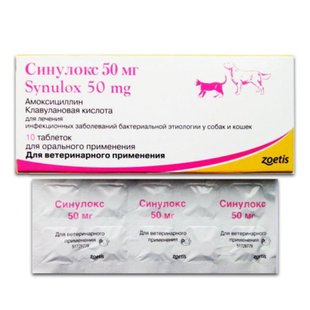 CLAVASEPTIN 50 mg