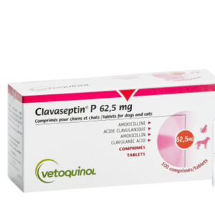 CLAVASEPTIN 62.5 mg