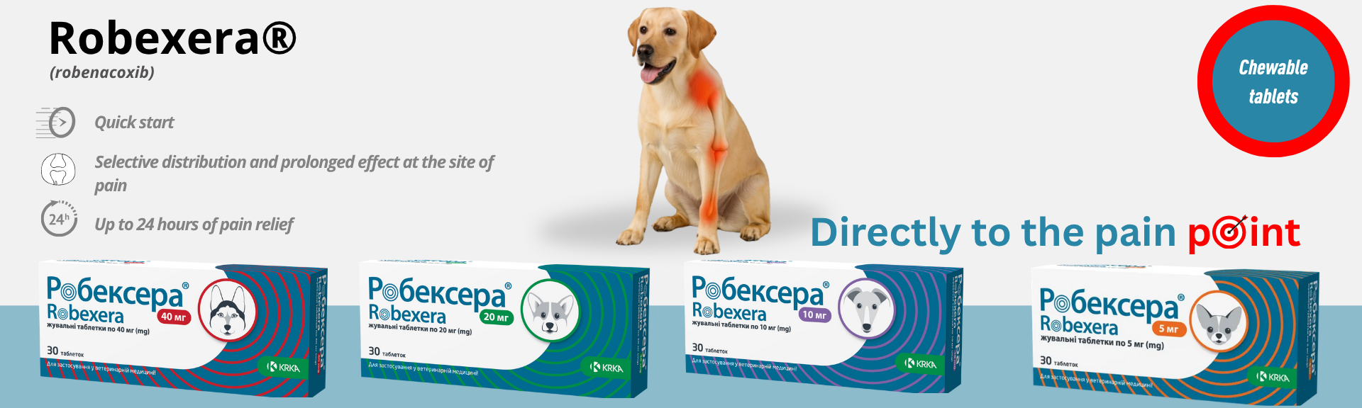 Robexera