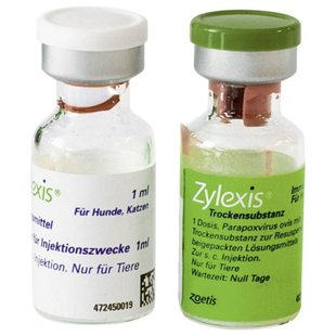 Immunglobuline, Immunmodulatoren